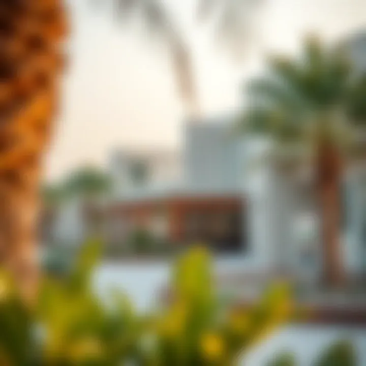 Community amenities and recreational areas in Al Qusais