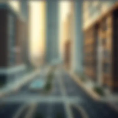 Infographic illustrating investment opportunities in Barak Avenue's real estate market