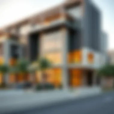 Current property developments on Barak Avenue reflecting modern architectural trends