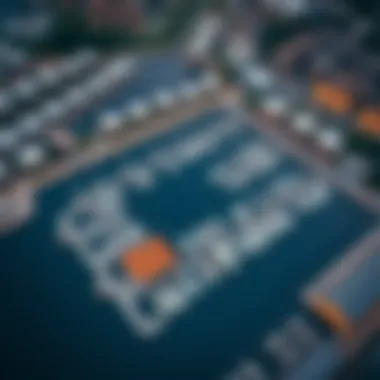 Aerial perspective of Bloom Marina and its surrounding environment