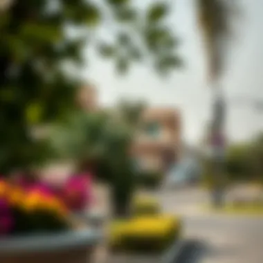 Neighborhood Landscape of مركز المشرف Vibrant neighborhood landscape with greenery in مركز المشرف