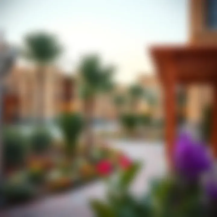 Community Park in Manazil Al Barsha 1 Vibrant community park in Manazil Al Barsha 1