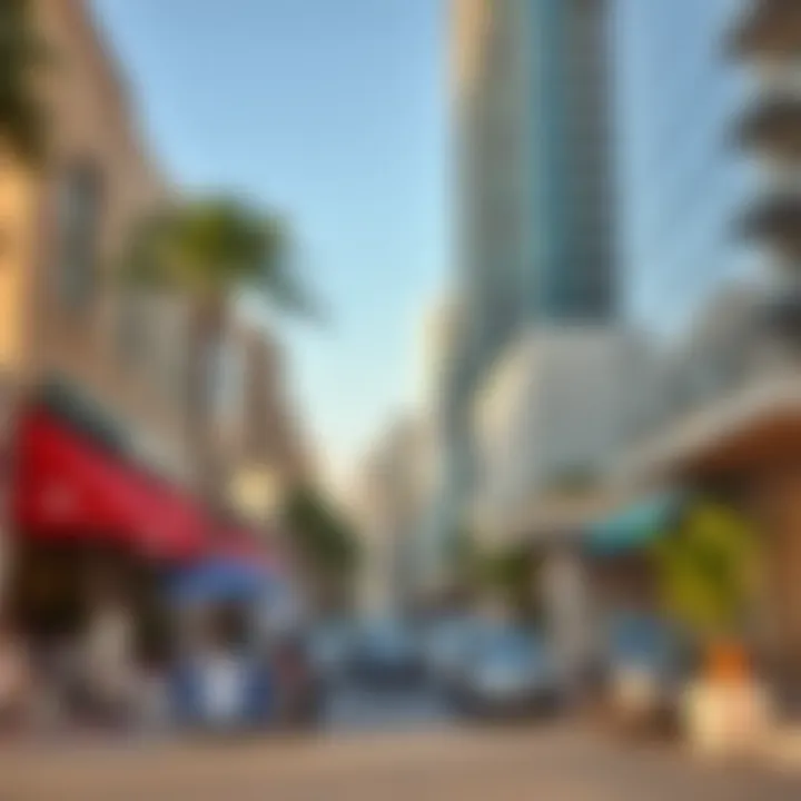 The Community Dynamics of Al Barsha Vibrant community life surrounding Elite Building in Al Barsha