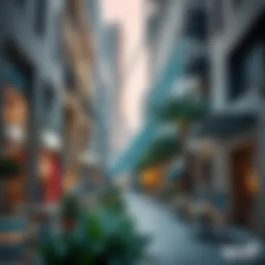 Vibrant shopping district filled with unique boutiques and cafes