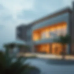 Exploring Recent Developments in Oro 24 Introduction