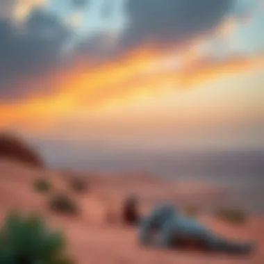 Desert Escapade: Scenic Landscape for Adventure Scenic desert landscape for adventure