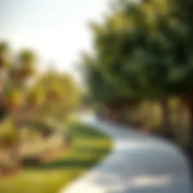 Tranquil Pathway in Gentle Park A tranquil pathway lined with trees in Gentle Park, inviting relaxation