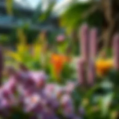 Diverse flora showcasing ecological diversity in Dubai