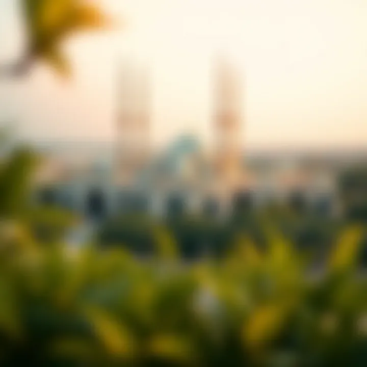 A panoramic view of JVC Mosque surrounded by lush greenery