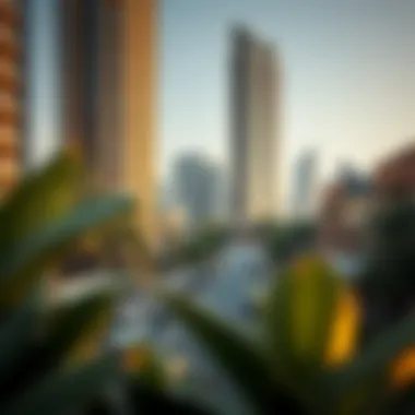 Vibrant community surrounding Latifa Tower