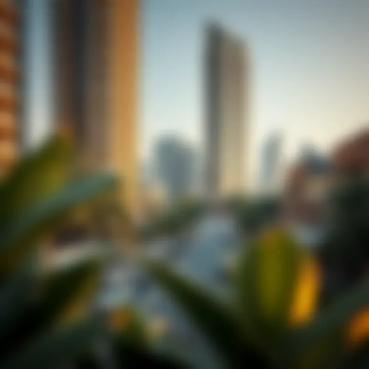 Vibrant community surrounding Latifa Tower