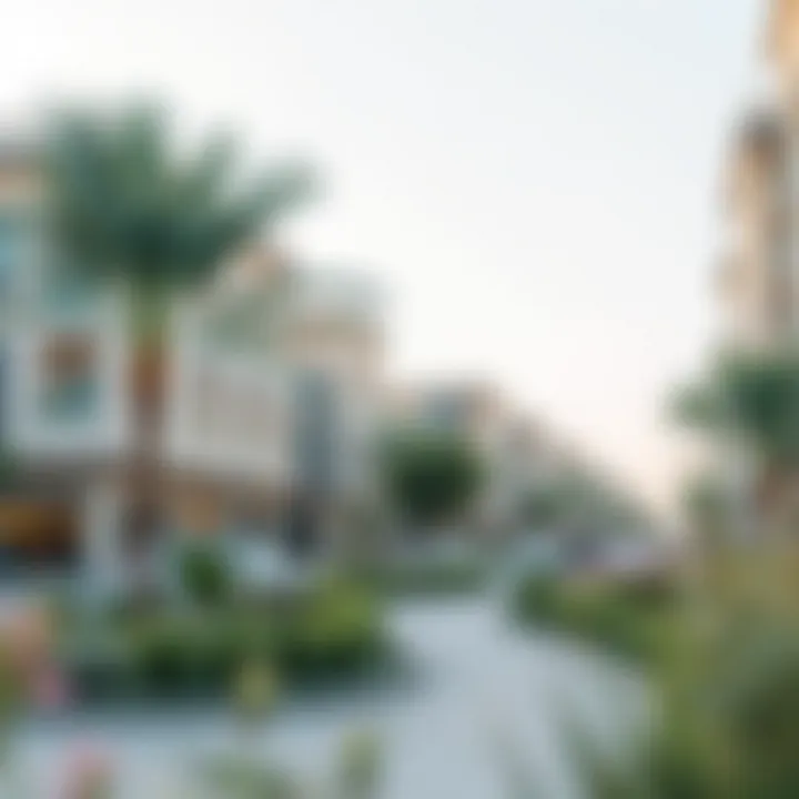 Local amenities and parks within Midtown Deyaar enhancing community living