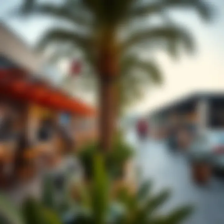 Vibrant community spaces in Al Jaddaf promoting social interaction