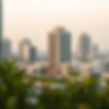 Infographic on neighborhood trends and future developments in Dubai