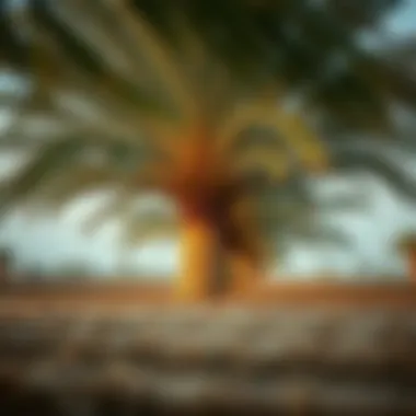 Heritage Farming Techniques in Palm Cultivation Traditional farming techniques being utilized in palm cultivation, highlighting the connection to heritage