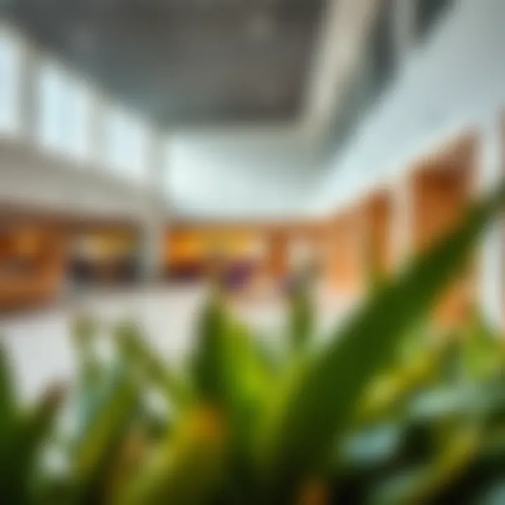 Amenities available at Remraam Community Center including fitness and leisure spaces