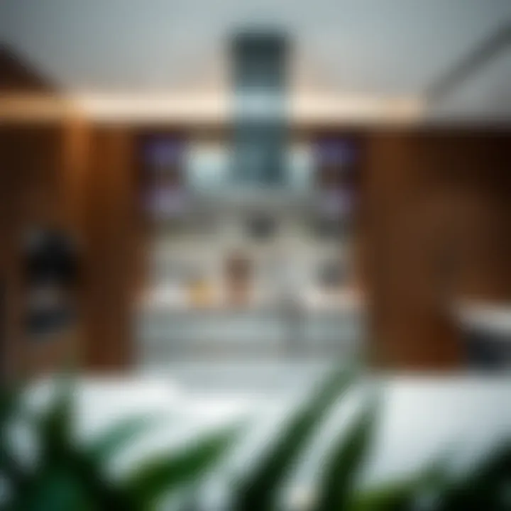 Contemporary kitchen with high-end appliances in Silicon Oasis