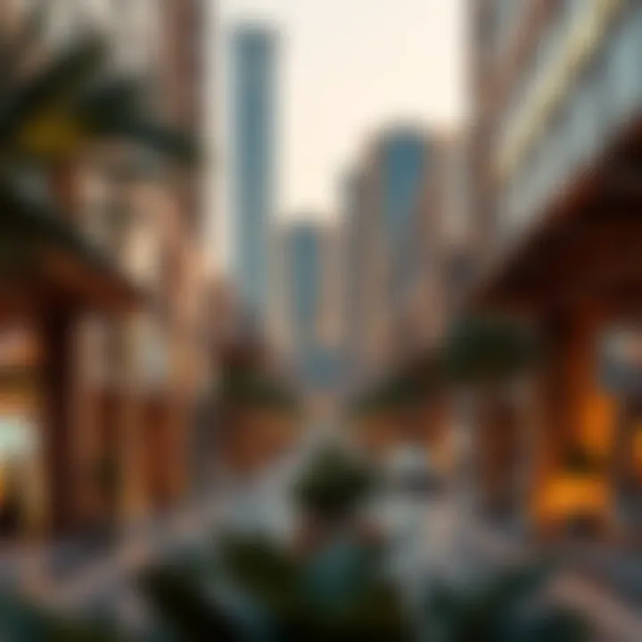 Future development projects planned for the Suk Al Sharq area
