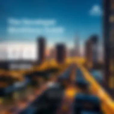 Developer Workforce Statistics An infographic illustrating the current developer workforce statistics in Dubai