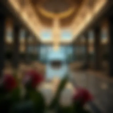 Guidance materials for individuals affected by visa cancellation